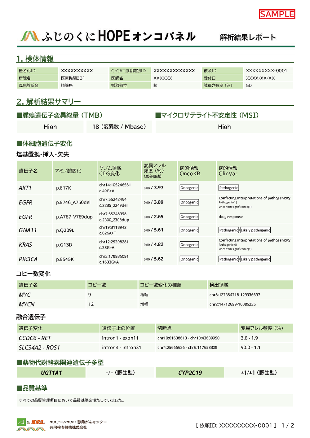 報告書サンプル