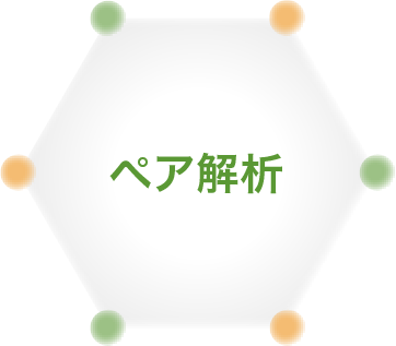 ペア解析