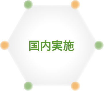 国内実施