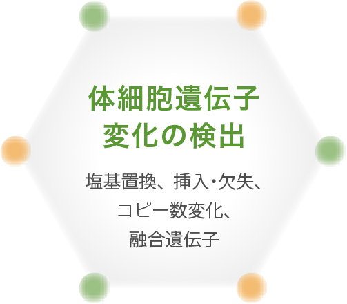 体細胞遺伝子変化の検出