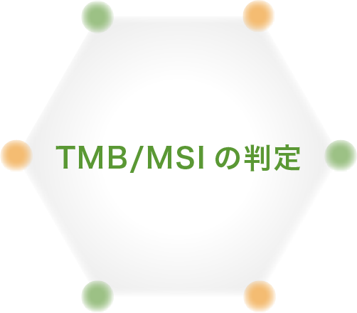 TMB/MSIの判定
