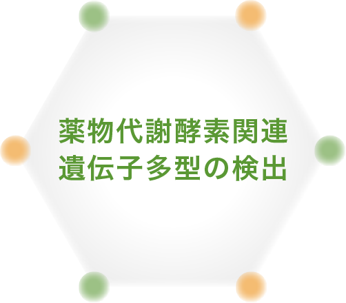 薬物代謝酵素関連遺伝子多型の検出
