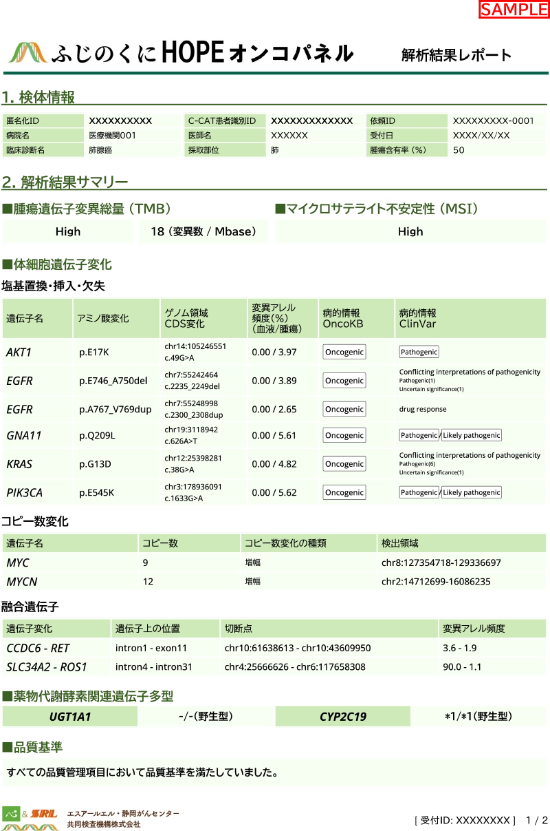 解析結果レポート