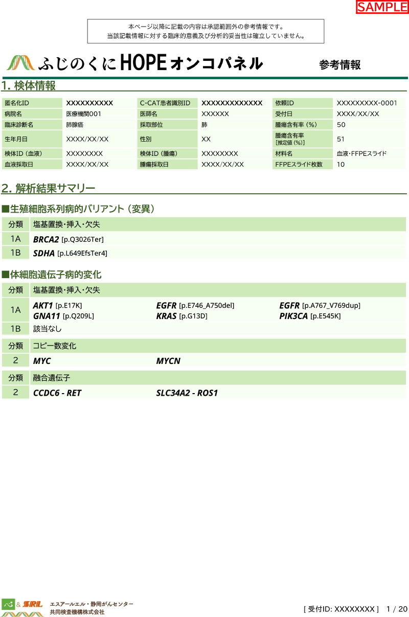 参考情報